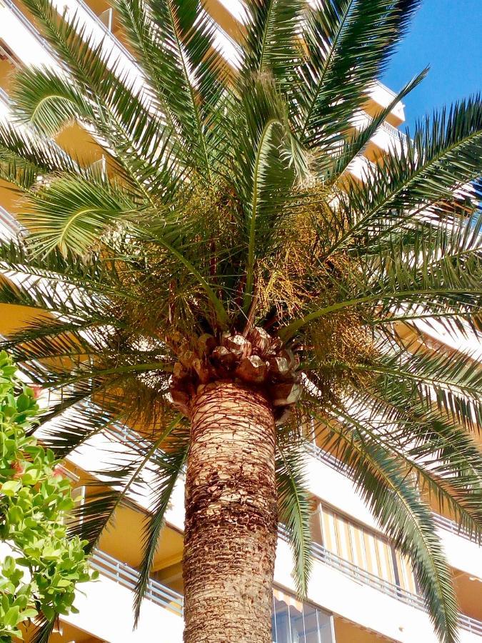 Apartament Voramar Calpe Zewnętrze zdjęcie