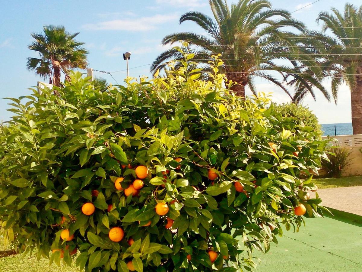 Apartament Voramar Calpe Zewnętrze zdjęcie